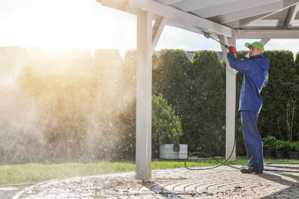 Best Roof Cleaning and Mildew Removal in Fitchburg, WI